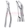 Extracting Forceps American Fig.151as Split Beak Forceps, Serrated
