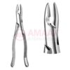 Extracting Forceps, American Pattern No. 1, For Incisors And Cuspids From The Upper Jaw