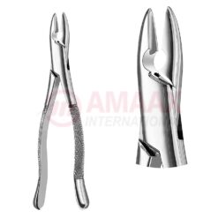 Extracting Forceps, American Pattern No. 1, For Incisors And Cuspids From The Upper Jaw