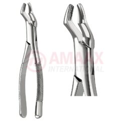 Extracting Forceps, American Pattern No. 10s, For Molars From The Upper Jaw Smooth Jaw