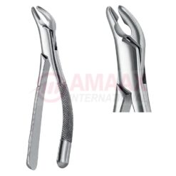 Cryer Extracting Forceps, American Pattern No. 151a, For Incisors, Cuspids And Premolars From The Lower Jaw