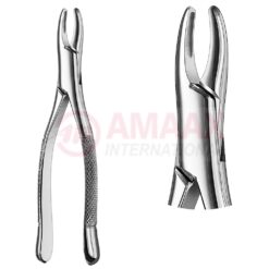 Extracting Forceps, American Pattern No. 1b, For Incisors And Cuspids From The Upper Jaw