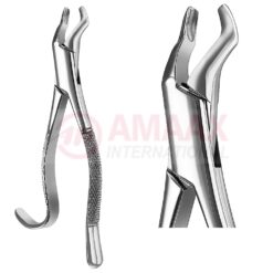 Extracting Forceps American Fig.210h