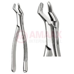 Extracting Forceps American Fig.210s
