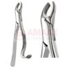 Extracting Forceps, American Pattern No. 24, For Molars From The Upper Jaw