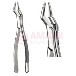 Extracting Forceps, American Pattern No. 65, For Incisors From The Upper Jaw