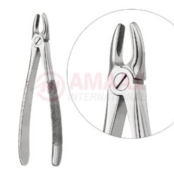 Extracting Forceps, English Pattern No. 1, For Incisors And Cuspids From The Upper Jaw