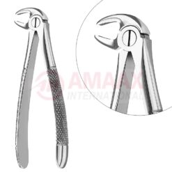 Extracting Forceps, English Pattern No. 13, For Premolars From The Lower Jaw
