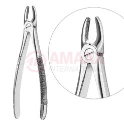 Extracting Forceps, English Pattern No. 2, For Lateral Incisors And Premolars From The Upper Jaw
