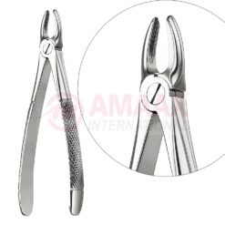 Extracting Forceps, English Pattern No. 29, For Incisors And Roots From The Upper Jaw