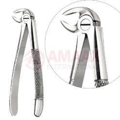 Extracting Forceps, English Pattern No. 33, For Roots, Incisors And Cuspids From The Lower Jaw