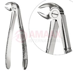 Extracting Forceps, English Pattern No. 33c, For Roots, Incisors And Cuspid From The Lower Jaw