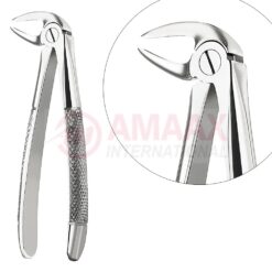 Extracting Forceps, English Pattern No. 33m, For Roots, Incisors And Cuspid From The Lower Jaw