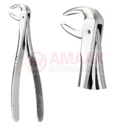 Extracting Forceps, English Pattern No. 75, For Incisors And Cuspids From The Lower Jaw