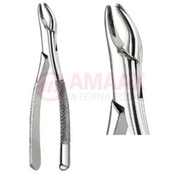 Hull Extracting Forceps For Children, American Pattern No. 101, For Premolar From The Upper Jaw