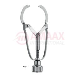 Ivory Matrix Retainer No.12