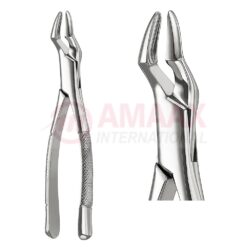 Parmly Extracting Forceps, American Pattern No. 32, For Molars And Premolars From The Upper Jaw