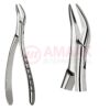 Root Splinter Forceps No. 300, For Roots From The Upper Jaw