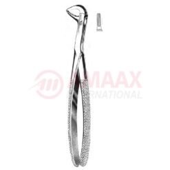 Stiksa Forceps Lower Molar, Roots