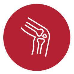 Orthopedic Instruments