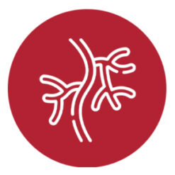 Cardiovascular instruments