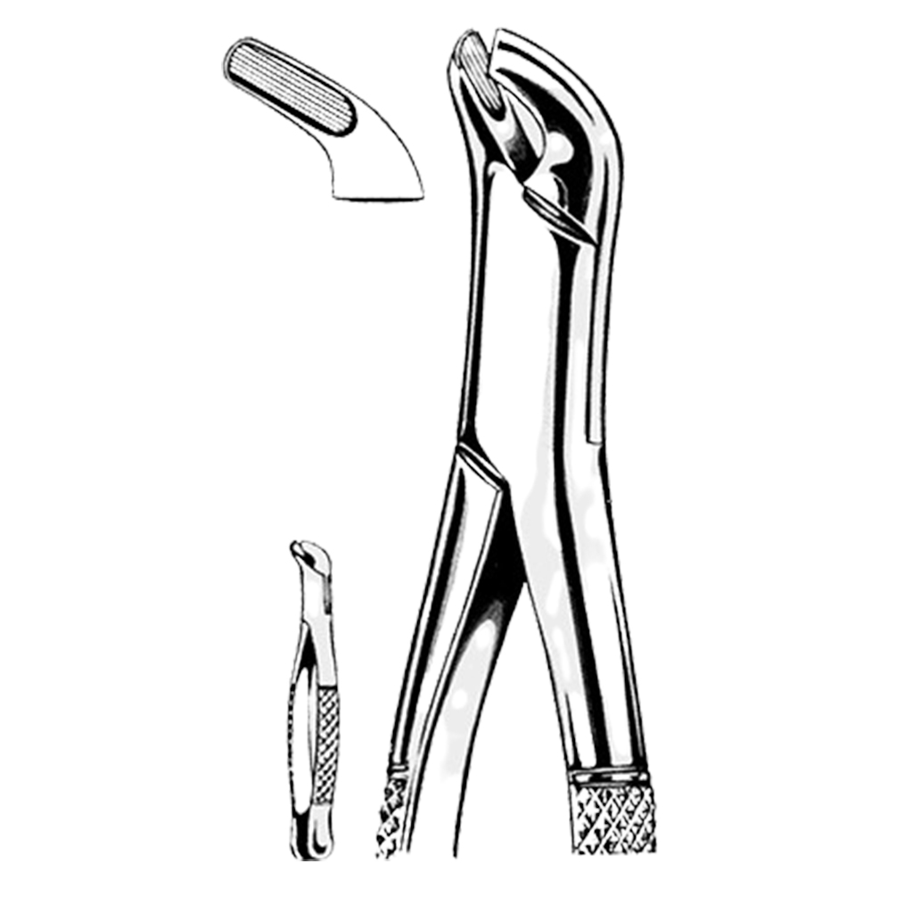Extracting Forceps American Fig 27 81 027 00