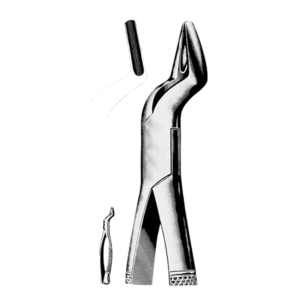 Extracting Forceps American Fig 35 81 035 00