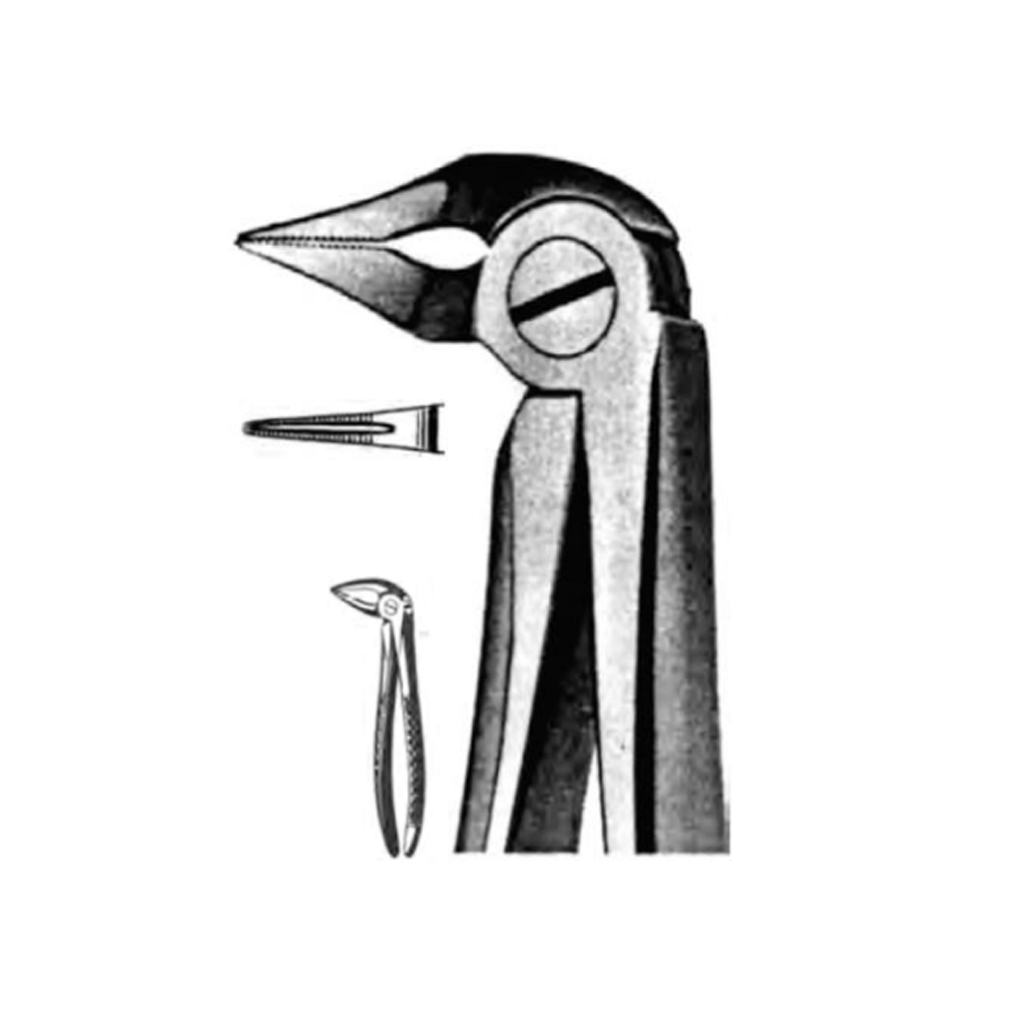 Extracting Forceps English Fig 33W 80 033 07