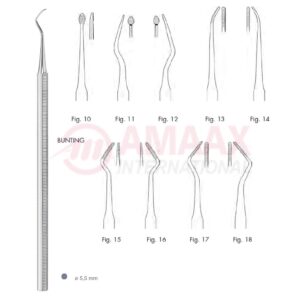 bunting-file-root-plann-83.317.10