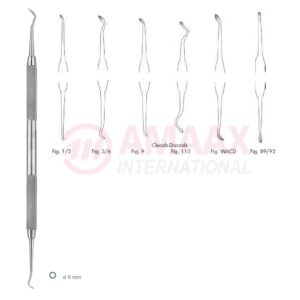 cleoid-discoid-carver-fig.1-2-83.362.01