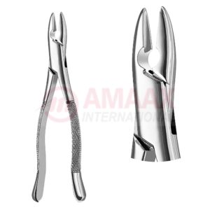 extracting-forceps-american-fig.1-81.001.00