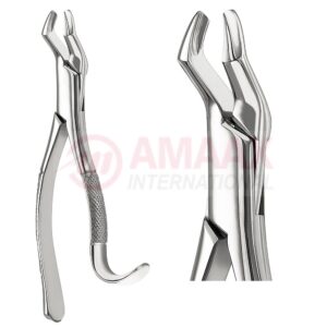 extracting-forceps-american-fig.10h-81.010.04