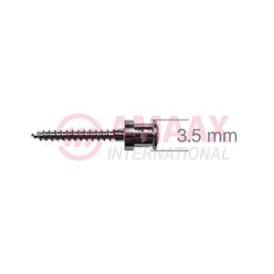 imf screw with full thread 36.853.58