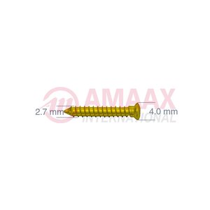 mandibular screw with full thread 36.591.07